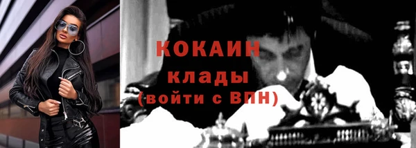 кокс Арсеньев