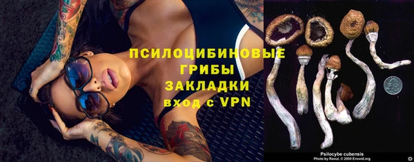 гашиш Аркадак
