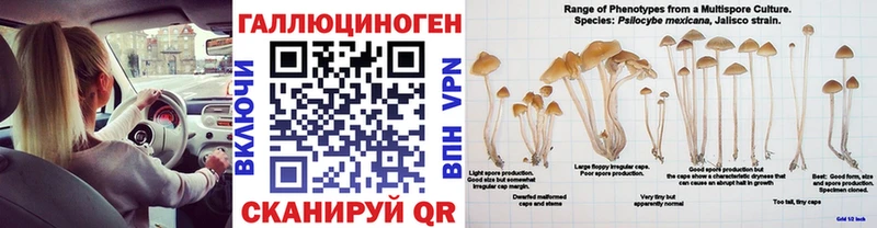 Псилоцибиновые грибы Magic Shrooms  Купить закладки  Судогда 