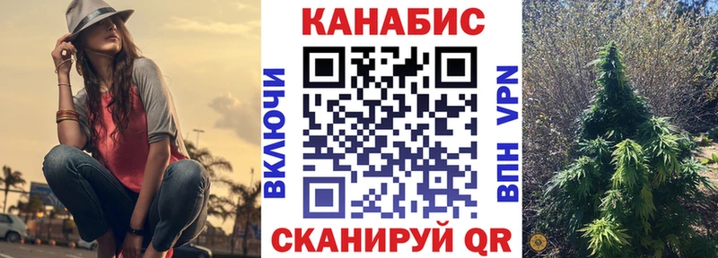 Канабис SATIVA & INDICA  Купить закладки  Судогда 
